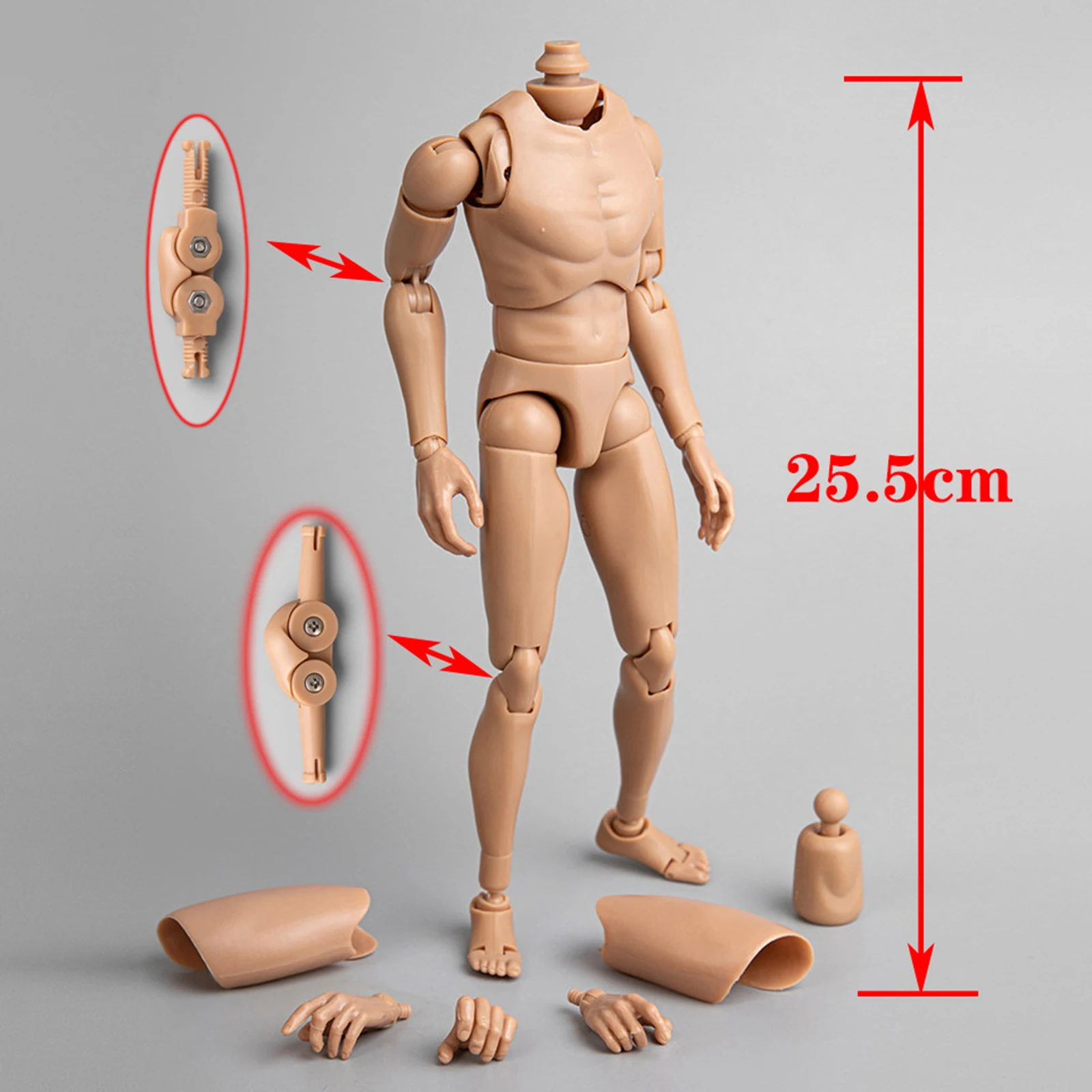 16ScaleMaleActionFigureBody12InchMaleBodyModelMuscularBody