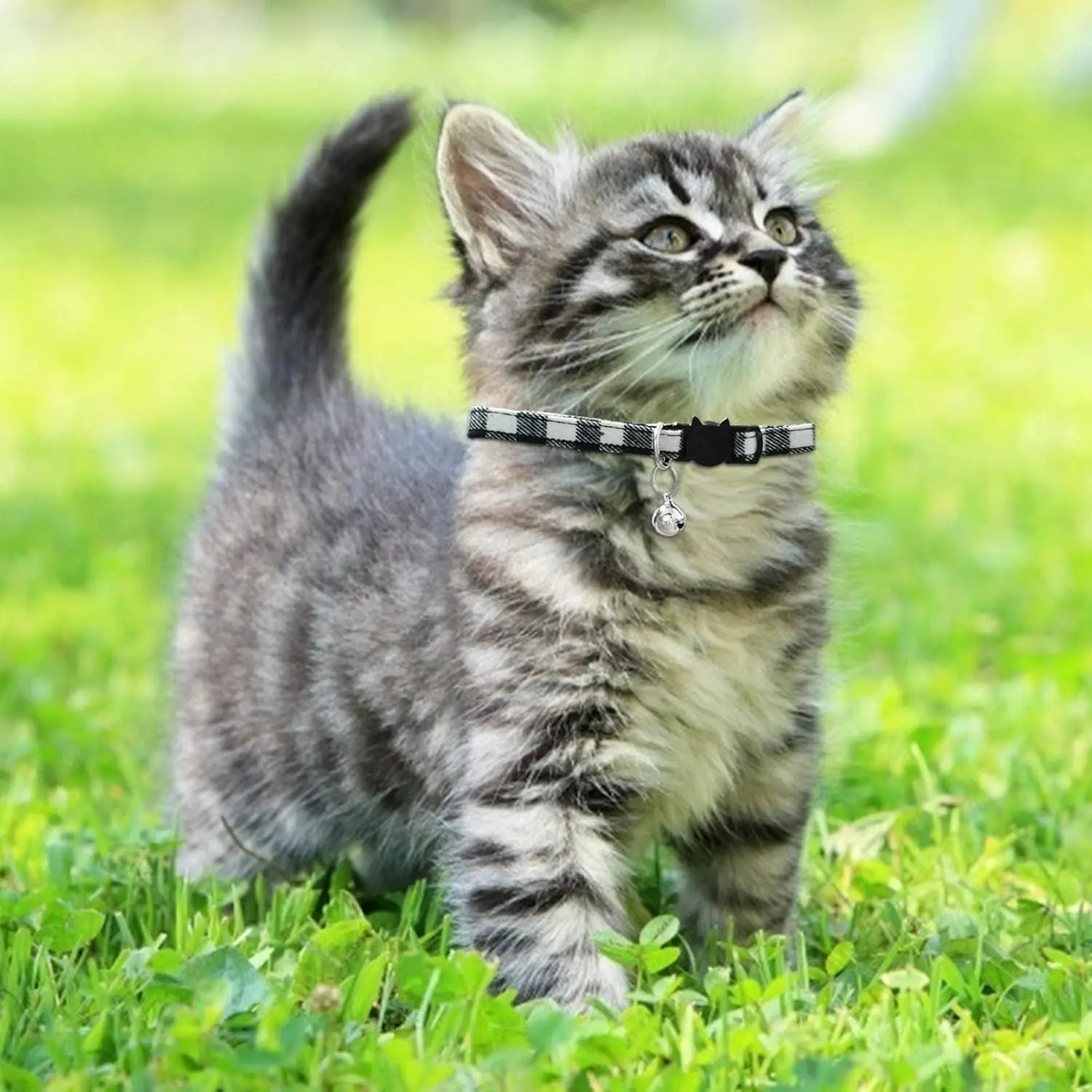 Cat Collar with Bell – Adjustable Breakaway Nylon Kitty Collar with Plastic Buckle