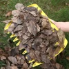 Garden Yard Leaf Scoops Lightweight Hand Rakes Labor Protection Claws For Weeding Garden Planting Clipping Leaves Garbage Pickup 4
