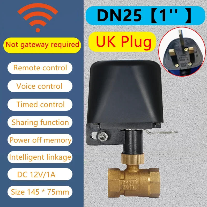 WiFi DN25 UK Plug