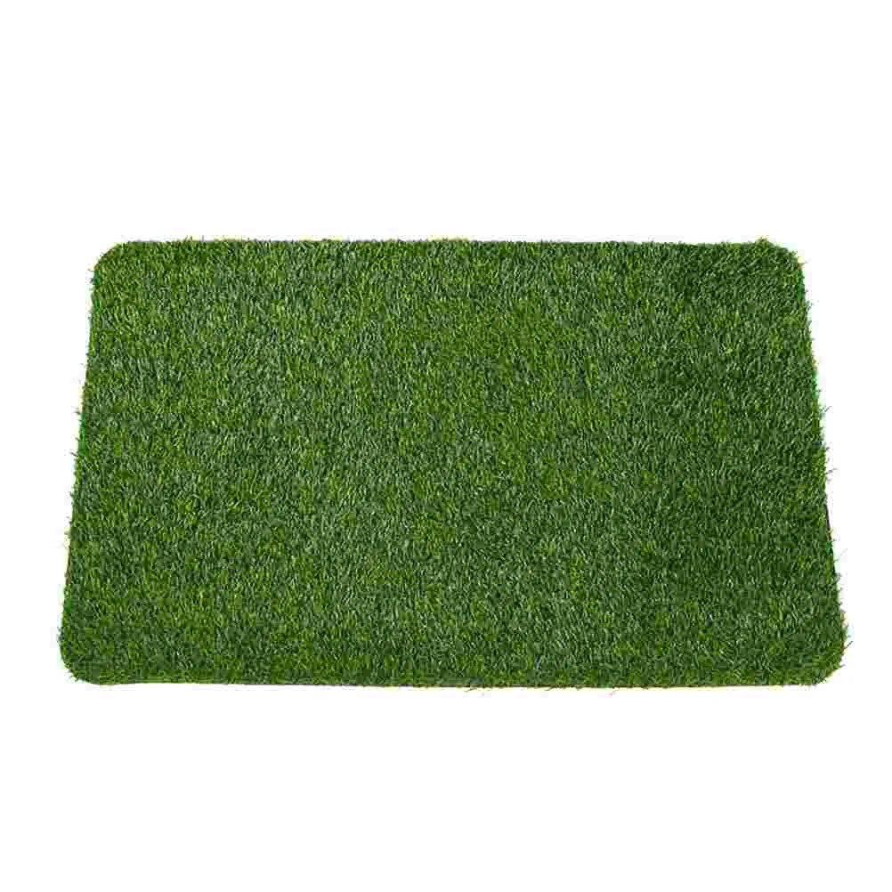 

Door Mat Household Carpet Floor Pad Entry Doormat Flooring Decorative Lawn Natural Home Thicken