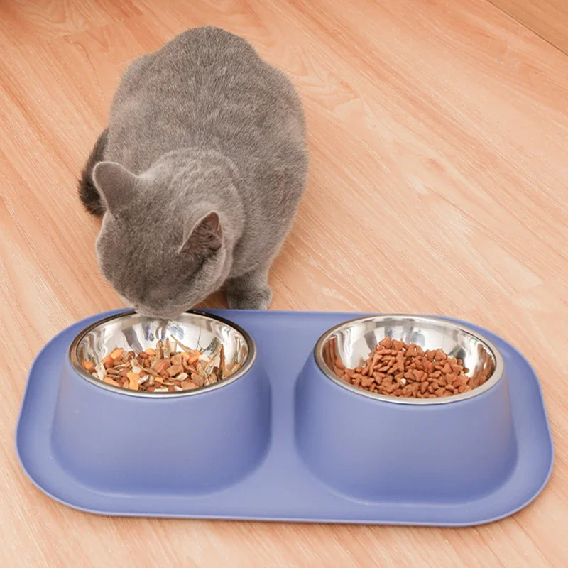 Ergonomic Inclined Cat Feeder Bowl Raised Silicone Dog Bowl for Dogs Large  No Spill Pet Mat Cat Food Supplies Stainless Steel - AliExpress