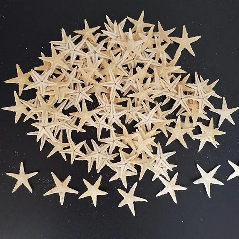 100pcs Mini Starfish Sea shells 0.5-3cm Craft Decoration Natural Sea Stars natural shell ornaments resin starfish ornaments