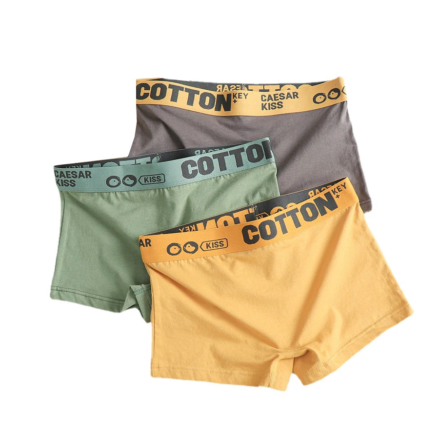 HaleyChan 1Pc Women's Cotton Boxer Briefs Trans Lesbian Tomboy LGBT