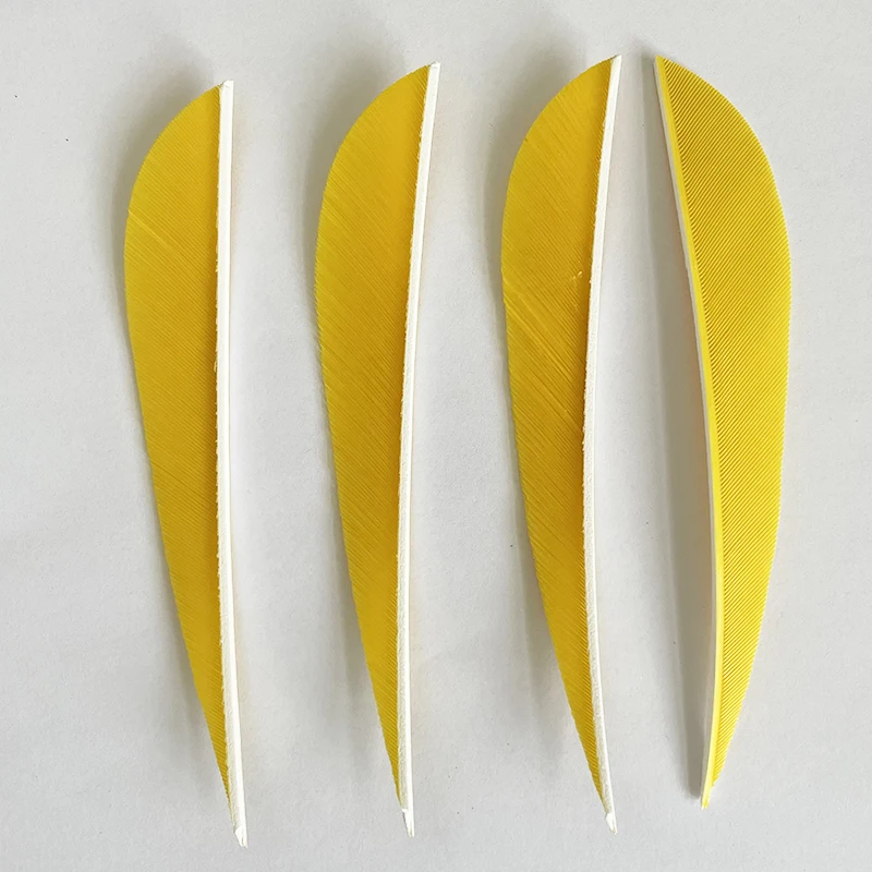 IBOUNFOX 50Pcs 4" Turkey Feather Fletching Right/Left Wings Archery Hunting Arrow Feathers DIY Carbon Woonden Arrow Vanes