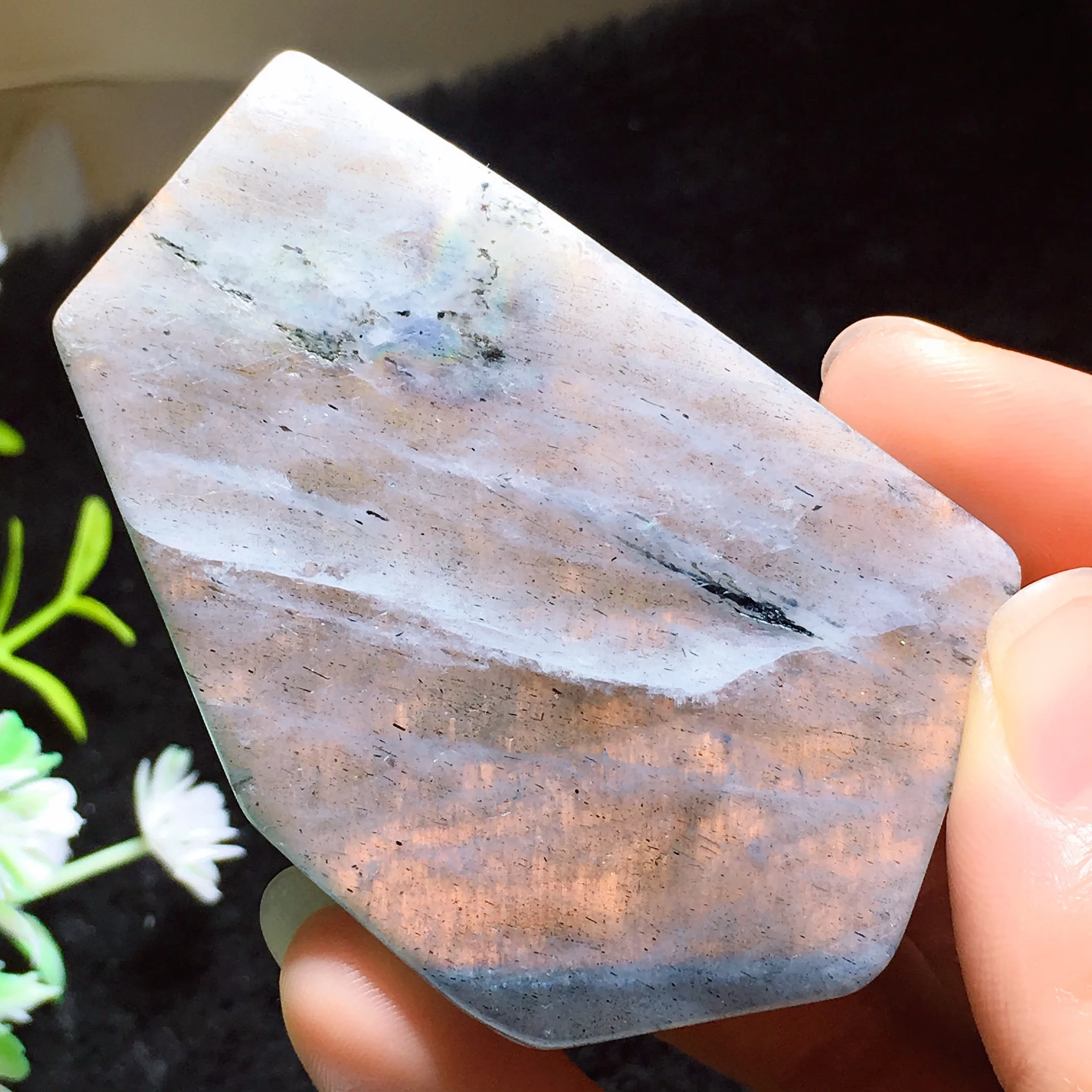 Labradorite Freedom 2431