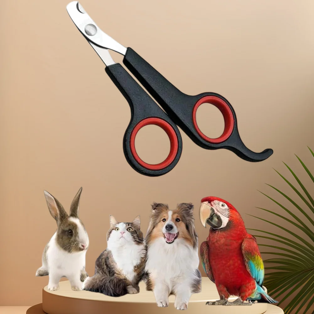 Pet Nail Claw Grooming Scissors Clippers for Dog Cat Gerbil Small Animals Newest Rabbit Home Portable Pet Products Accessories Pet Nail Claw Grooming Scissors Clippers for Dog Cat Gerbil Small Animals Newest Rabbit Home Portable Pet Products Accessories