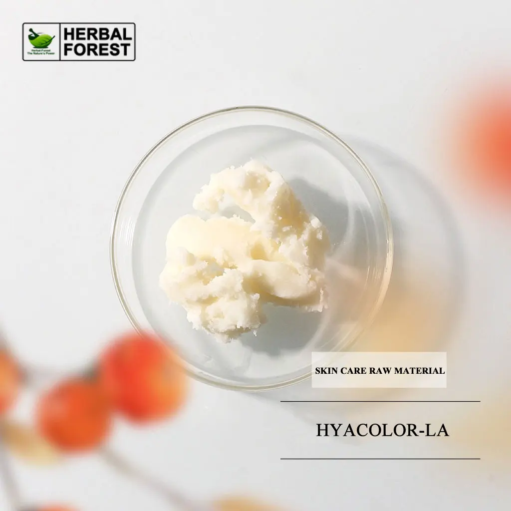 HYACOLOR-LA Oil Soluble Hyaluronic Acid Na (Low-Molecular-Weight) Moisturizing Lip Balm Lipstick Hydrating Skin Care Additives