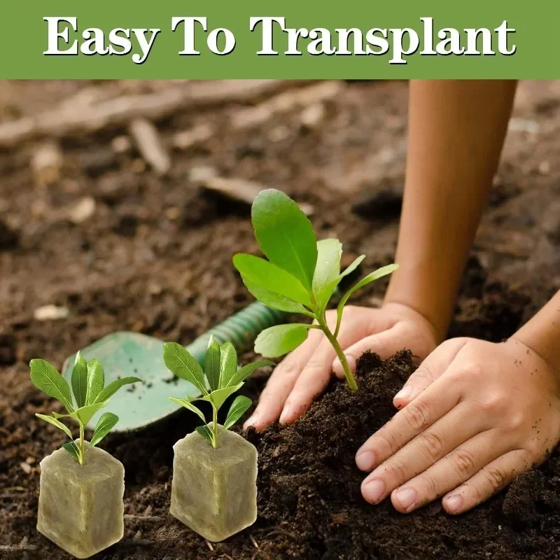 Hydroponic Grow Media Cubes Soilless Planting Substrate Stonewool Hydroponic Grow Media Cubes Plant Cubes Soilless Substrate Seeded Rock Wool Plug Seedling Block Garden Tools