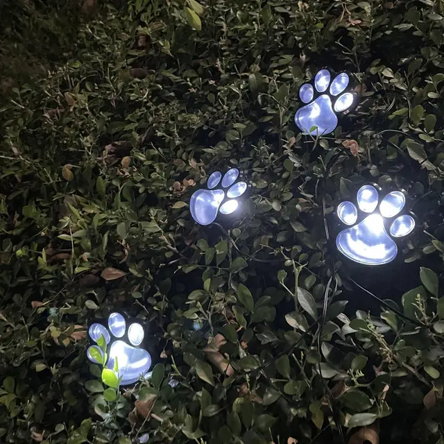 A-White Lights