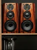 High fidelity hifi speaker audiophile grade passive bookshelf speaker 2