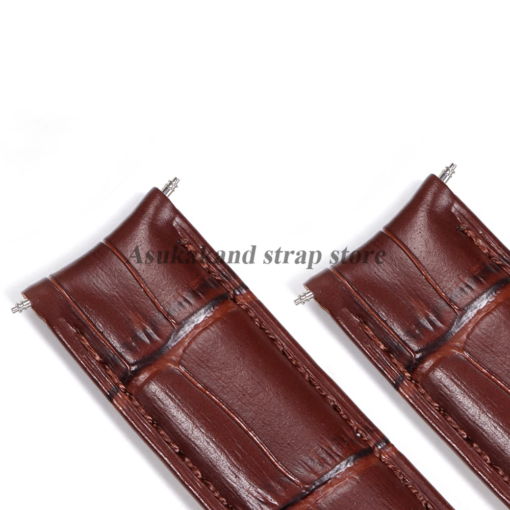 Premium Stainless Steel Curved Spring Bars