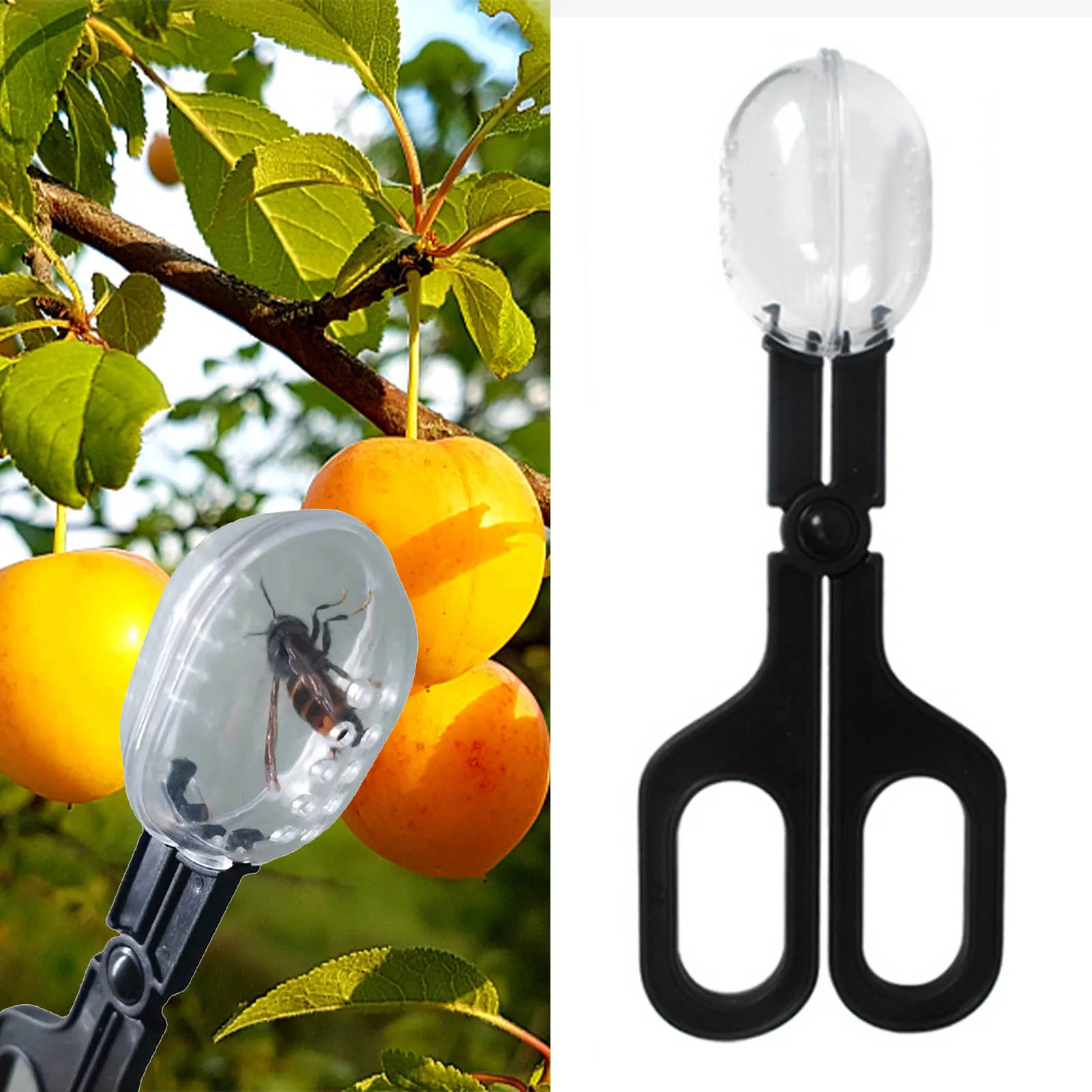 Beekeeping Tools Queen Clips For Bees Without Disturbing Other Bee Cage Catcher Beekeeping Tool Beekeepers
