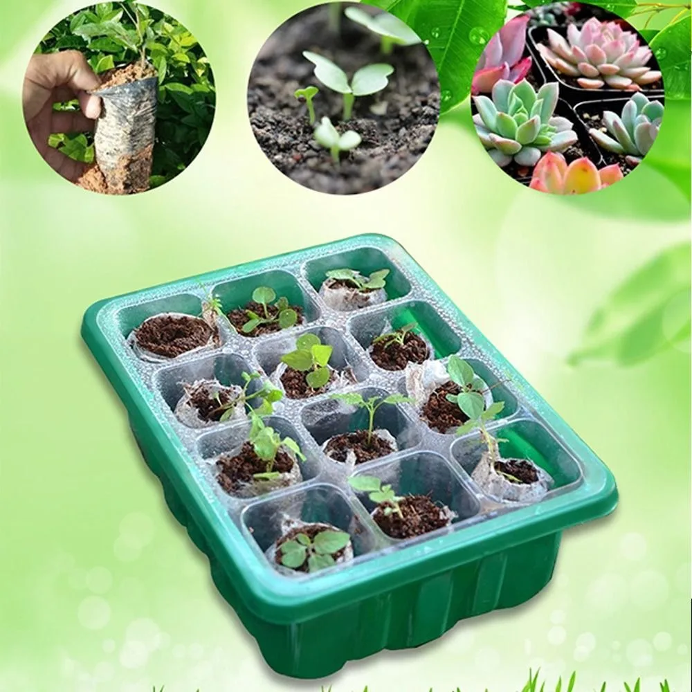 6/12Grids Seed Starter Tray Ventilation Hole Seeds Growing Cultivation Planting Box Mini Greenhouse Plant Starter Kit