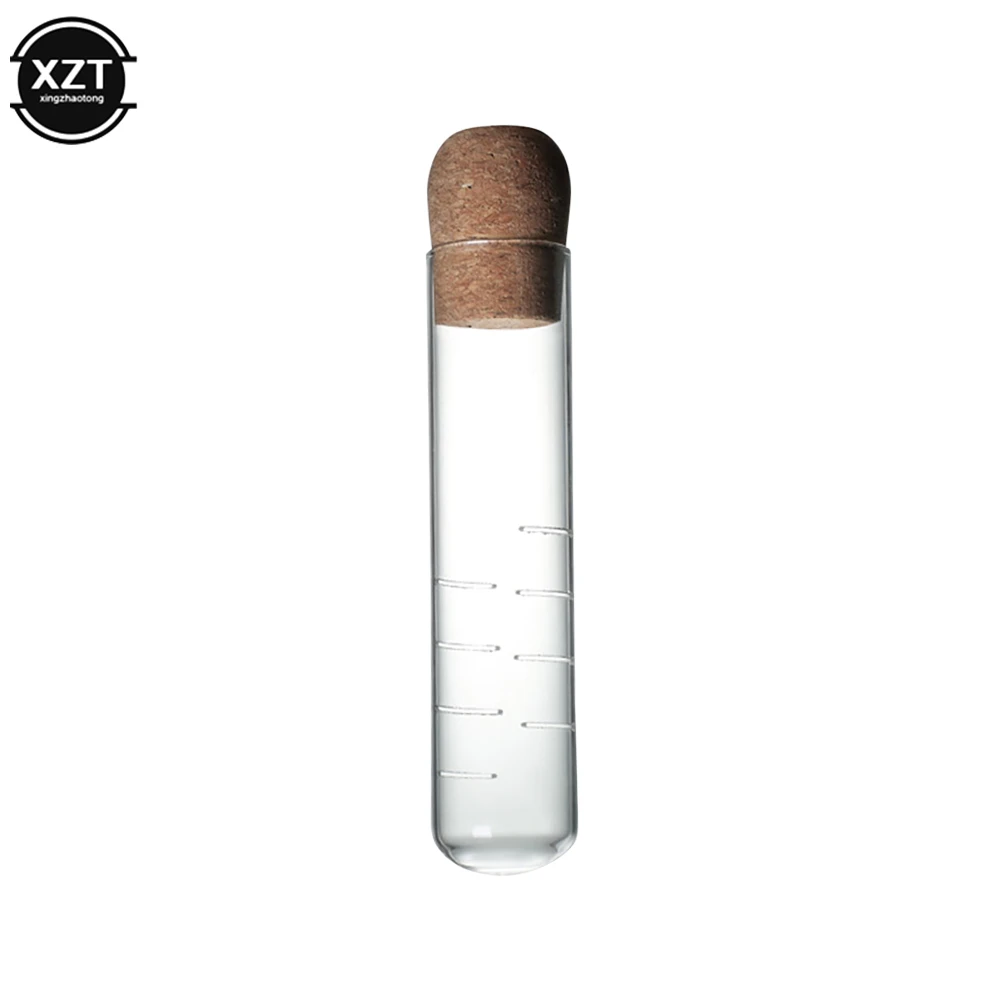 Glass Tea Set Infuser Empty Bottle Mini Transparent Strainer Cork Tube Brewing for Home Party Office
