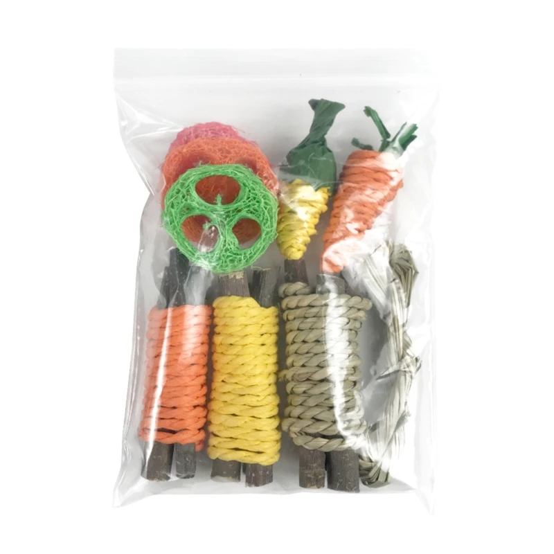 9 Pieces Hamster Chew Toys Set Molar Teeth Care for Dwarf Hamsters Rat Guinea Pigs Chinchillas Gerbils Bunnies Durable M68E pet chew toys pet teeth grinding toy