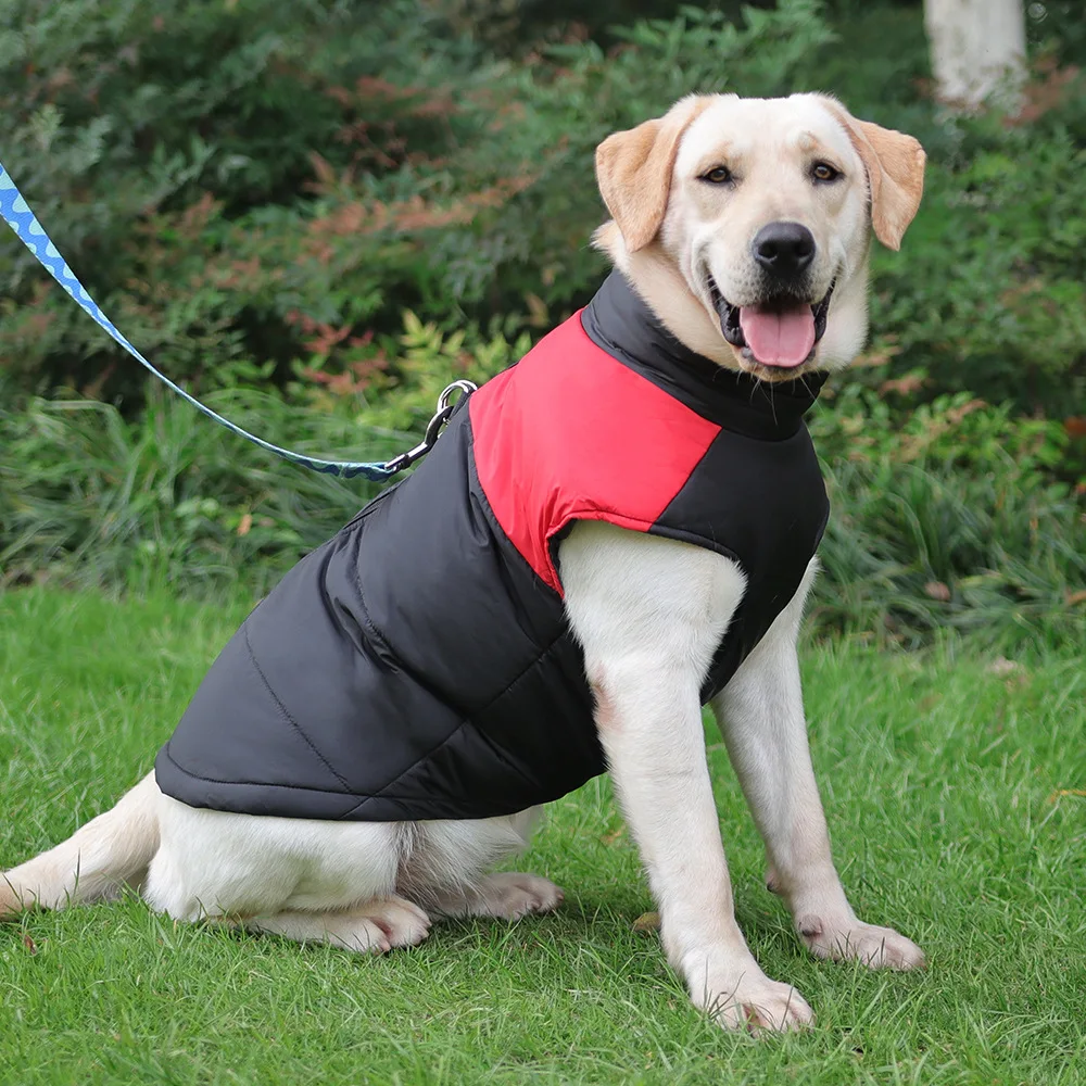 Cold Weather Dog Jackets For Labradors Waterproof Dog Coat Pet