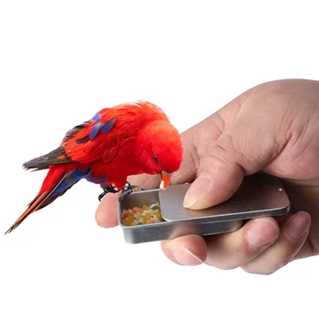 Addestramento degli uccelli barattolo per alimenti pappagallo alimentatore portatile uccello IQ crescita strumento di addestramento giocattoli interattivi Mini serbatoio di ferro per l'alimentazione degli uccelli 1 pz