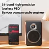 FiiO SA1 High-Fidelity Desktop Speaker. 31-Band PEQ, LDAC Bluetooth,20W2+5W2 Output, Phono Preamp, Wood Fiber Woofer 2