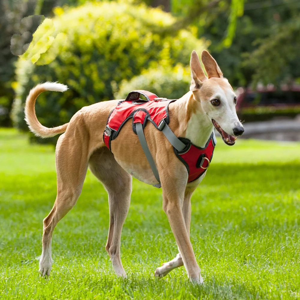 Brother Cat Dog Harness Vest Travel Dog Harness With Handle Nylon Reflective Light Weight Adjustable Control Harness Dog AliExpress 15