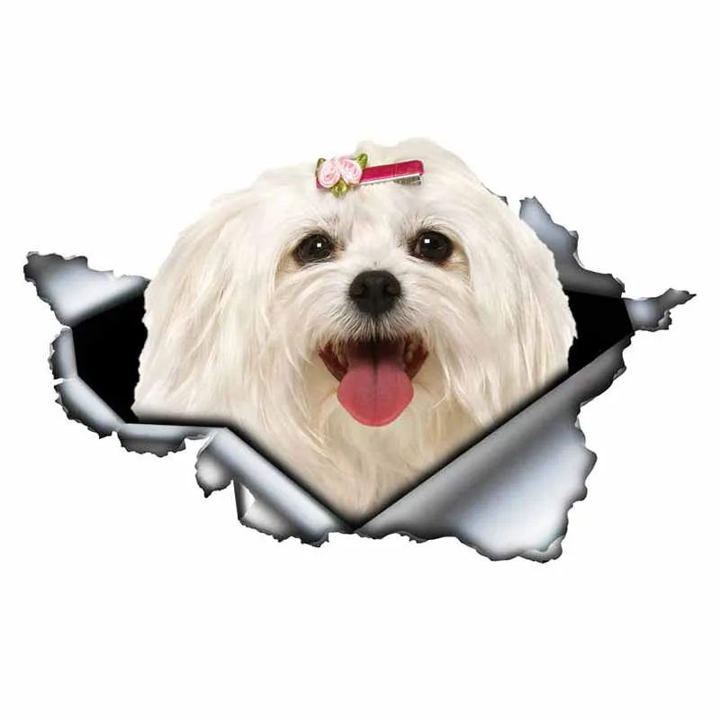 LYKX Lovely Maltese Pet Dog Car Sticker Decoration Waterproof Window Boot Decal Motorcycle Cover Scratch PVC Decals LYKX Lovely Maltese Pet Dog Car Sticker Decoration Waterproof Window Boot Decal Motorcycle Cover Scratch PVC Decals