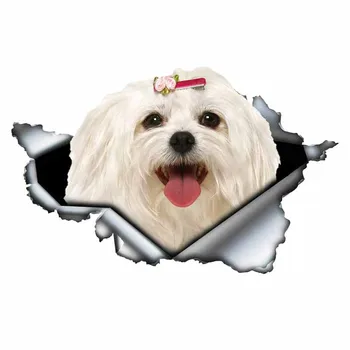 LYKX Lovely Maltese Pet Dog Car Sticker Decoration Waterproof Window Boot Decal Motorcycle Cover Scratch PVC Decals