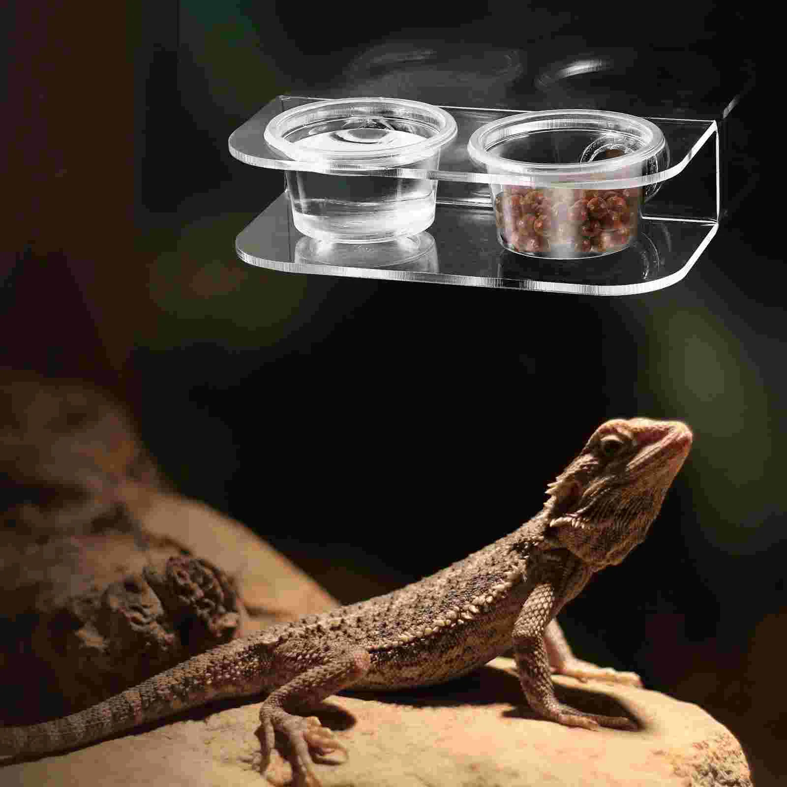 Reptile Feeding Ledge Magnetic Gecko Ledge Gecko Dish Feeding Ledge with 10 Bowls ReptileFeeder Cups Water Feeder for Geckos Iguana Pets