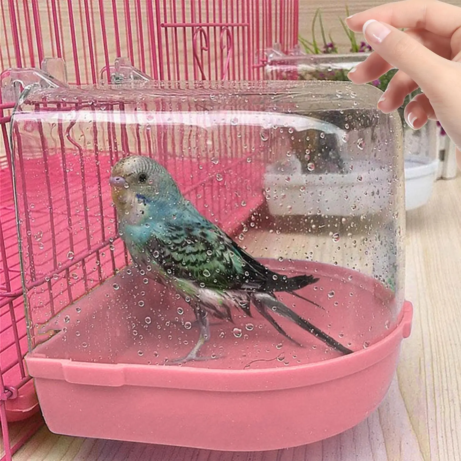 Pet Bird Box Da Bagno In Gabbia Canary Budgerigar Hanging Facile Da Installare Lovebirds Budgie Cockatiel Parrocchetti Pappagallo Water Shower Bowl