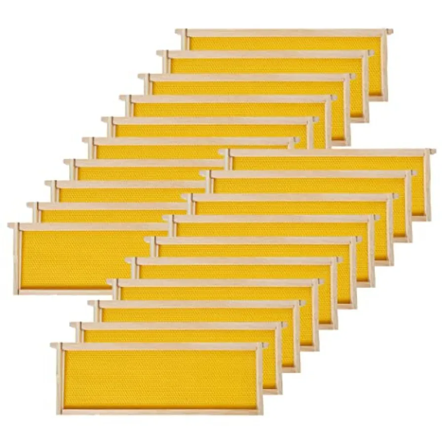 BeeCastle 20 Pack Medium Beehive Frames and Waxed FoundationsHoney Bee Frames with Wooden Bee Hive Frames and Beeswax Coated Fo
