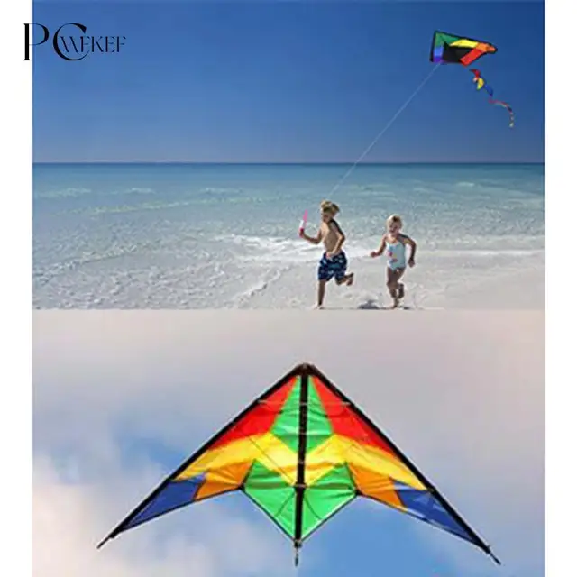 Outdoor Toys Large Delta Kites Tails With Handle For Children Kites Nylon Ripstop Albatros Kite Factory Direct 1