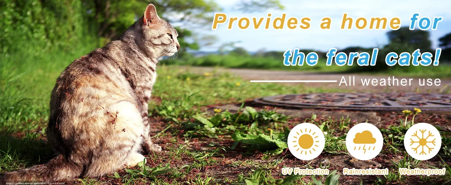 outdoor cat house for feral cats