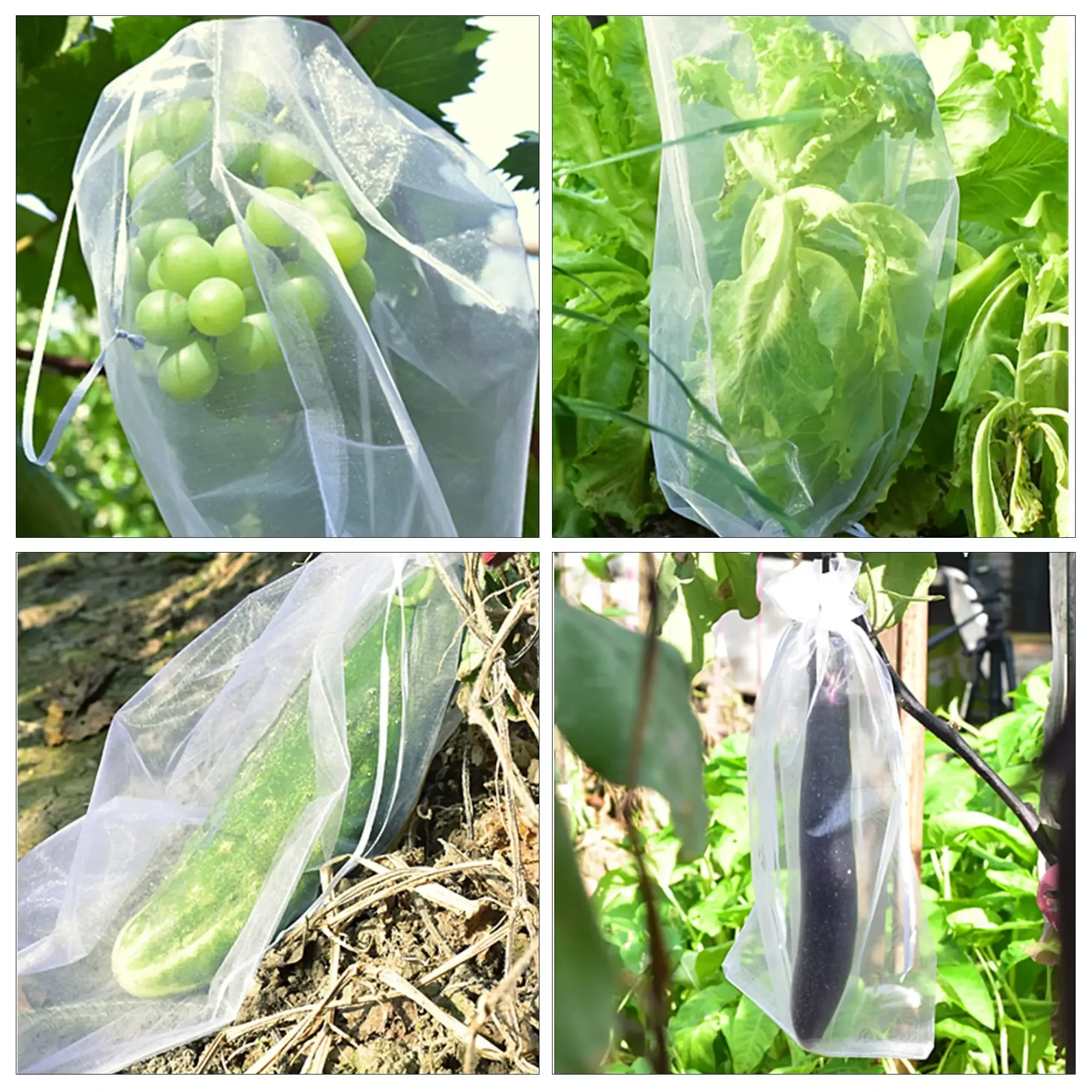 Fruit Grow Bags 50/100pcs