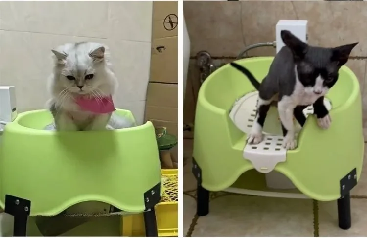 Caixa de areia automática para gatos com sensor_voghion.com