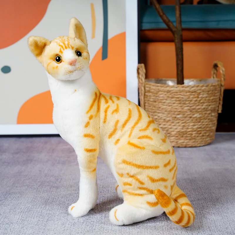 yellow cat