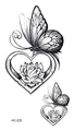 Image 27