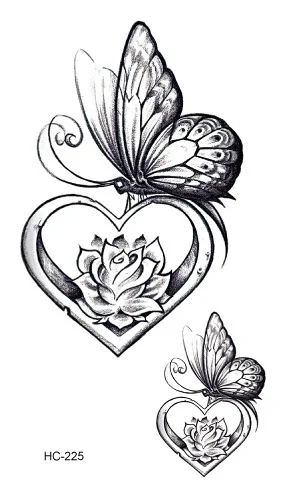 Image 27