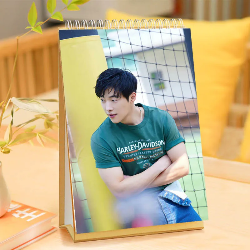 2024Year Woo Do-hwan 13pages Desk Calendar Planner Desktop Ornaments  Decoration - AliExpress