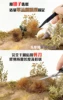 50G Diorama Simulation Grass DIY Model Making HO N Military Scene Model Material Wilderness Ruins Weed Hay Rrass Roots Landscape 5