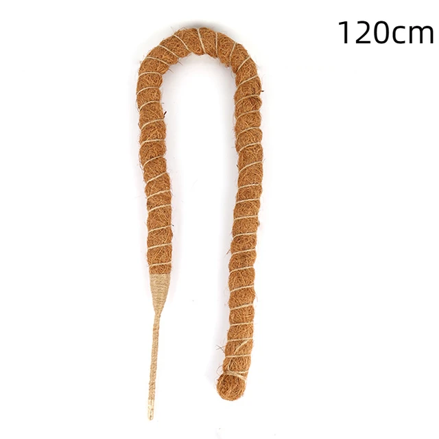 120cm