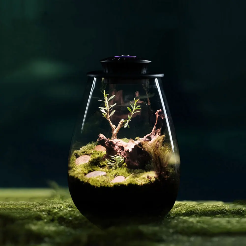 Micro Landscape Plant Growth Lamp 6500K Desktop Miniature Plant Light Plant Grow Light for Indoor Plants Succulents Mini Bonsai