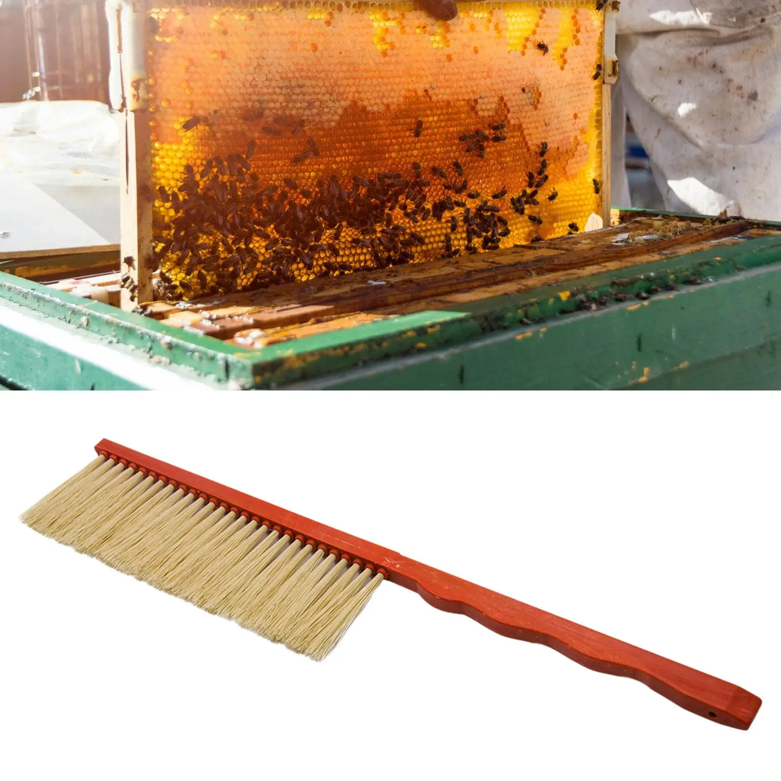 Honey Brush Beehive Cleaning Tool Beekeeping Equipment Horse Bristle Tool Professional Beekeepers Beekeeping Hive Brush beekeeping tools