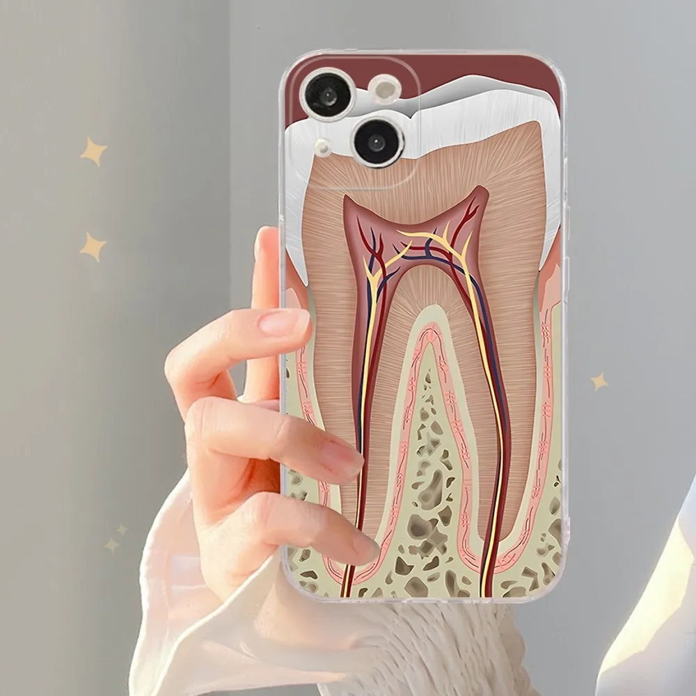 The Dentist Tooth Phone Case For IPhone 15 8 7 6 6S Plus X SE 2020 XR XS 14 11 12 13 Mini Pro Max Mobile Case