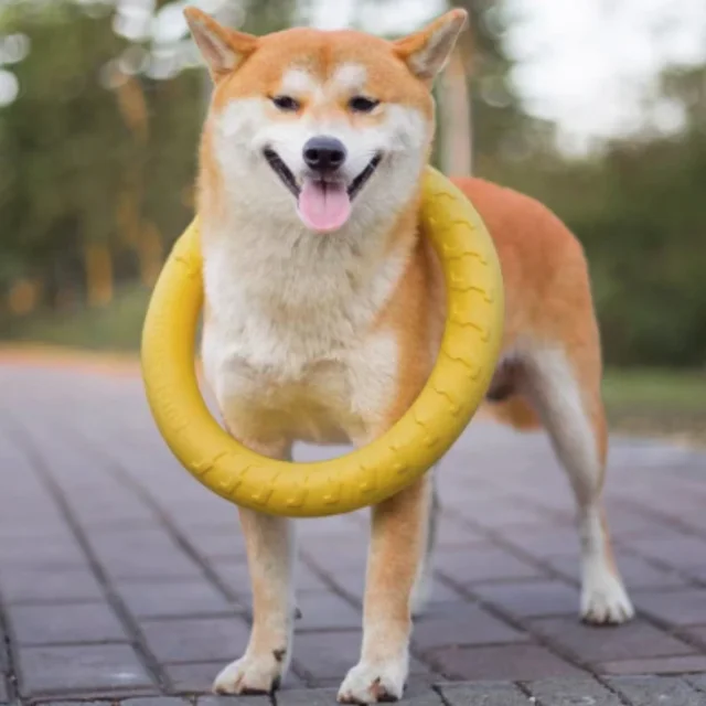 1PC Large Dog Interactive TPR Toy - Durable Floating Ring Pulling Dog Ring for Teeth Grinding And Interactive Play 2