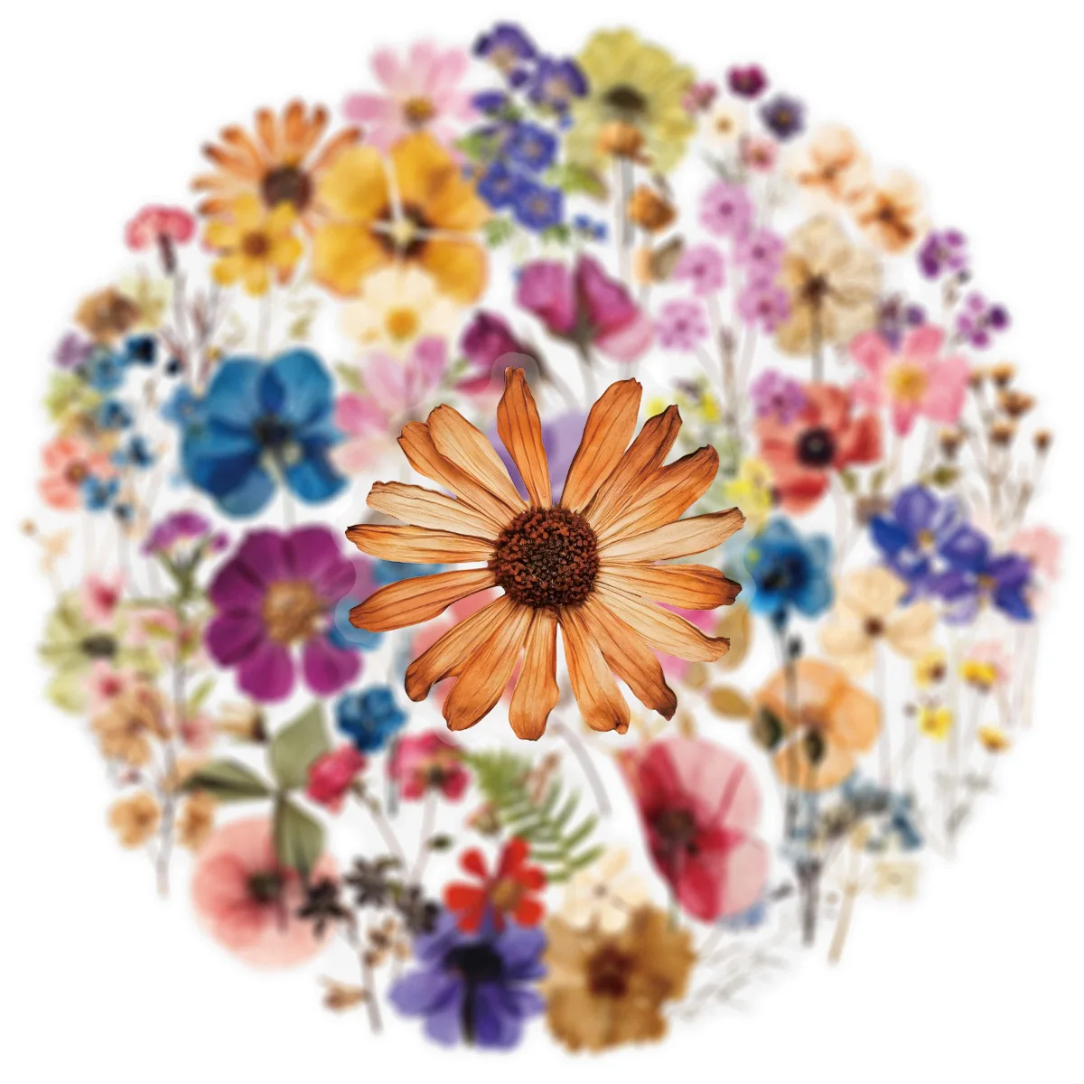 10/25/50개 투명 혼합 꽃 식물 스티커 DIY 방수용 여행가방 전화기 노트북 물병 노트북 스크랩북용