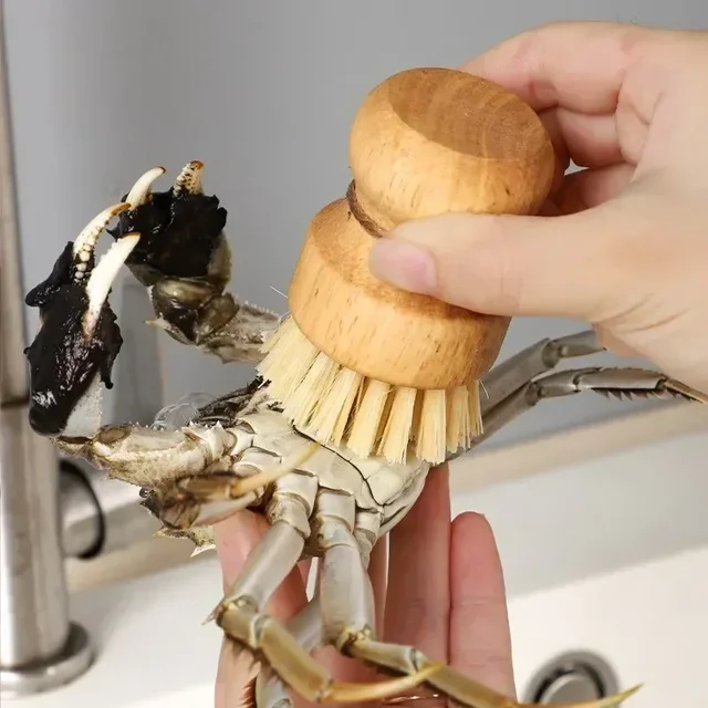 Brosse à vaisselle de cuisine avec manche en bois et noix de coco en sisal, outils de nettoyage multifonctions, brosse à récurer 4