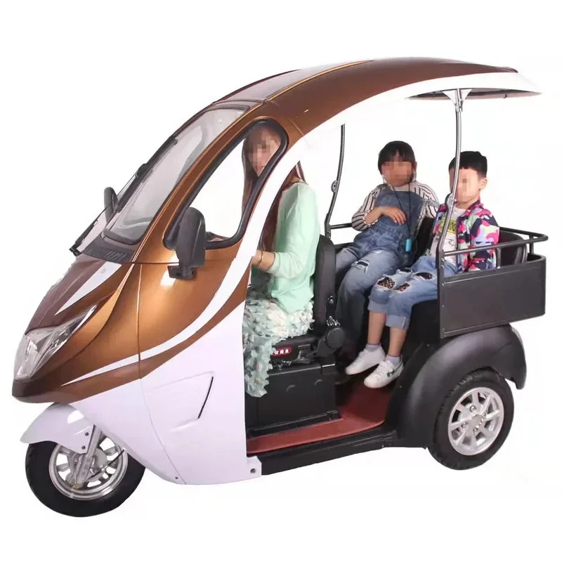Three Wheel Electric Mini Scooter Tricycle with Roof for Adult Pink Max Black Green Silver Body Motor Acid Power Battery 5