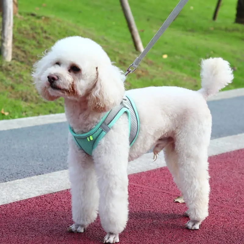 Dogs Puppy Harness Collar Cat Dog Adjustable Vest Walking Lead Leash Soft Breathable Polyester Mesh For Small Medium Pet |