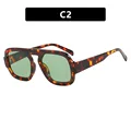 C2