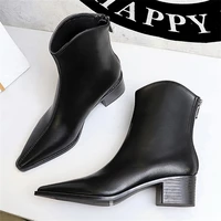 BIGTREE Street Style Designer Vintage Pointed Toe Zipper Women Ankle Boots Autumn Winter Fashion Square Heel Shoes Botas Mujer - Image 2