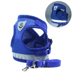 Reflective Pet Harness and Leash Set for Small to Medium Dogs and Cats (Blue)